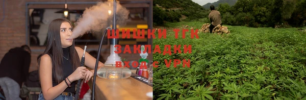 гидра Заволжье