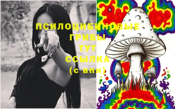 spice Зерноград