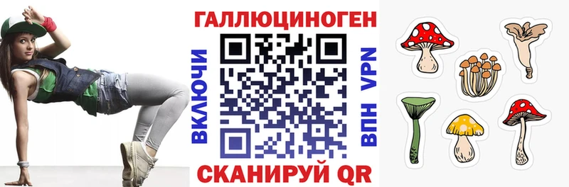 Галлюциногенные грибы Cubensis  Купить  Луга 